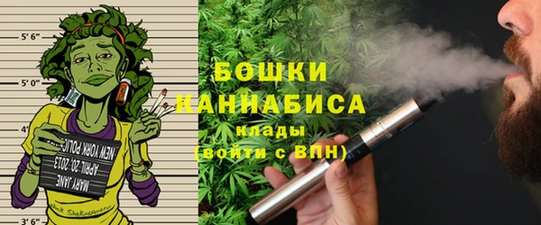 ГАЛЛЮЦИНОГЕННЫЕ ГРИБЫ Баксан