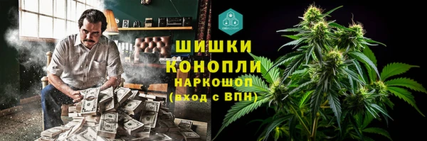 ГАЛЛЮЦИНОГЕННЫЕ ГРИБЫ Баксан