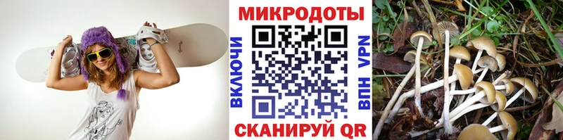 что такое наркотик  Валдай  Псилоцибиновые грибы прущие грибы 